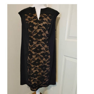 Connected Woman Dress Lace Overlay Black Tan 18W